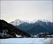 Vedere